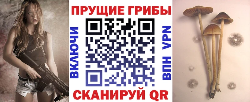 Галлюциногенные грибы Magic Shrooms  МЕГА сайт  Краснокаменск 